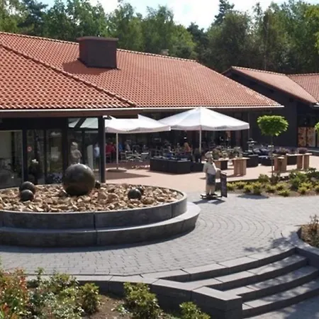 Chalet Het Veluwse Boshuisje Knus Met Omheinde Tuin Op De Veluwe