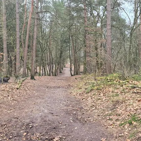 Het Veluwse Boshuisje Knus Met Omheinde Tuin Op De Veluwe