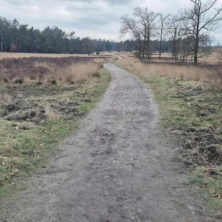 Het Veluwse Boshuisje Knus Met Omheinde Tuin Op De Veluwe * Hoenderloo