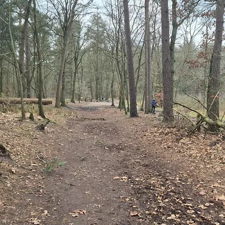 Domek alpejski Het Veluwse Boshuisje Hond Welkom In *