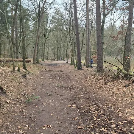 Chalet Het Veluwse Boshuisje Knus Met Omheinde Tuin Op De Veluwe *