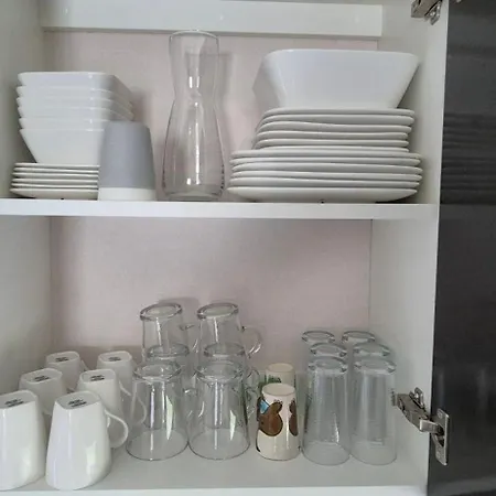 Chalet Het Veluwse Boshuisje Hond Welkom In *