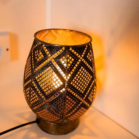 Chalet Het Veluwse Boshuisje Hond Welkom In