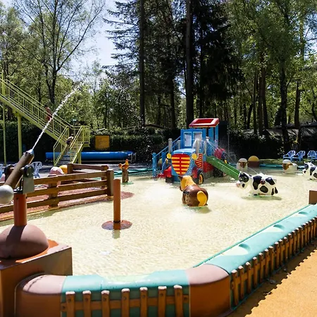 Chalet Het Veluwse Boshuisje Hond Welkom In Hoenderloo