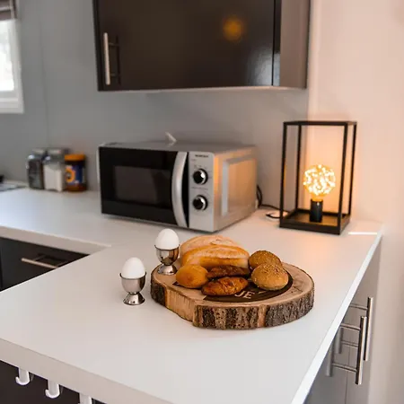 Het Veluwse Boshuisje Hond Welkom In Hoenderloo