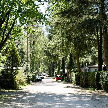 Het Veluwse Boshuisje Hond Welkom In Chalet Hoenderloo