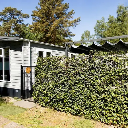 Chalet Het Veluwse Boshuisje Hond Welkom In Hoenderloo