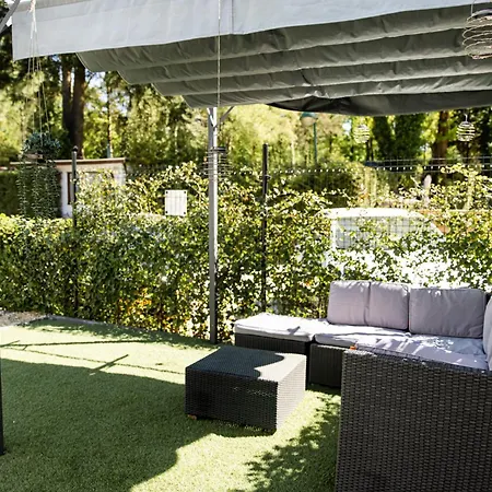 Het Veluwse Boshuisje Hond Welkom In Chalet