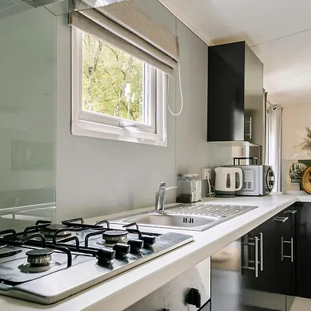 Het Veluwse Boshuisje Hond Welkom In Hoenderloo