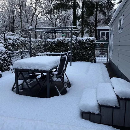 Chalet Het Veluwse Boshuisje Hond Welkom In Hoenderloo