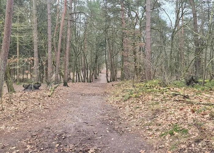 Het Veluwse Boshuisje Hond Welkom In