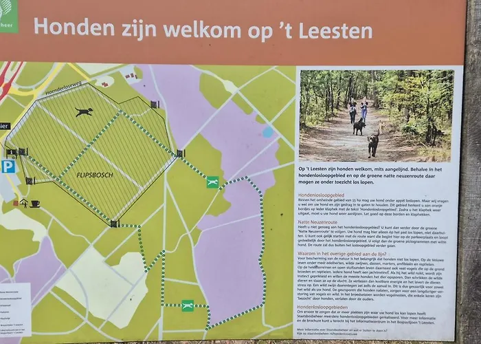 Chalet Het Veluwse Boshuisje Hond Welkom In *