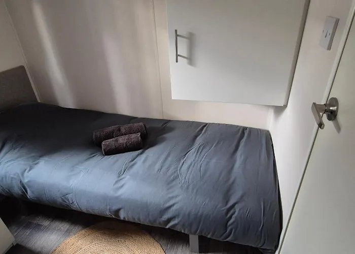 Het Veluwse Boshuisje Hond Welkom In Chalet