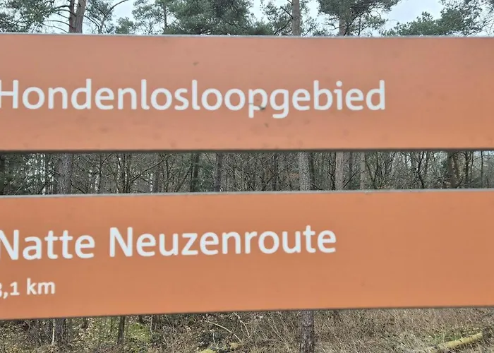 Het Veluwse Boshuisje Hond Welkom In Chalet *