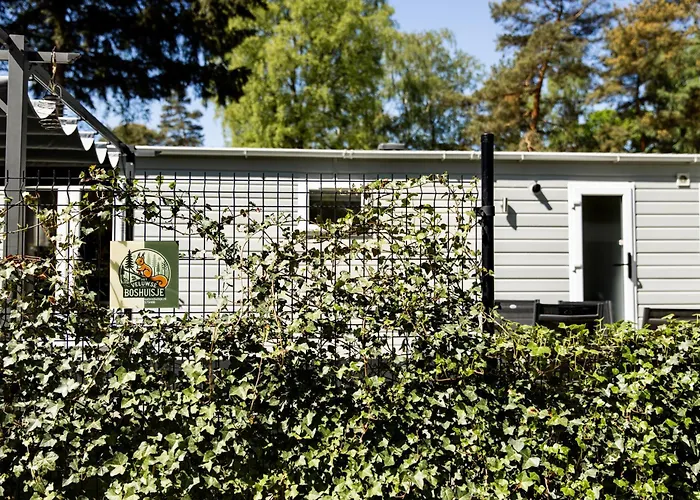 Chalet Het Veluwse Boshuisje Hond Welkom In *