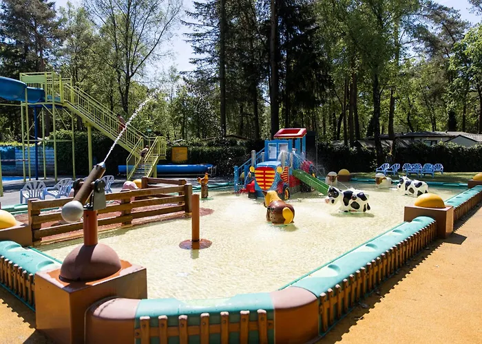 Chalet Het Veluwse Boshuisje Hond Welkom In Hoenderloo