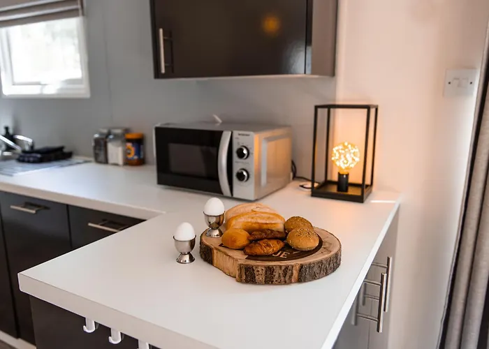 Het Veluwse Boshuisje Hond Welkom In Hoenderloo