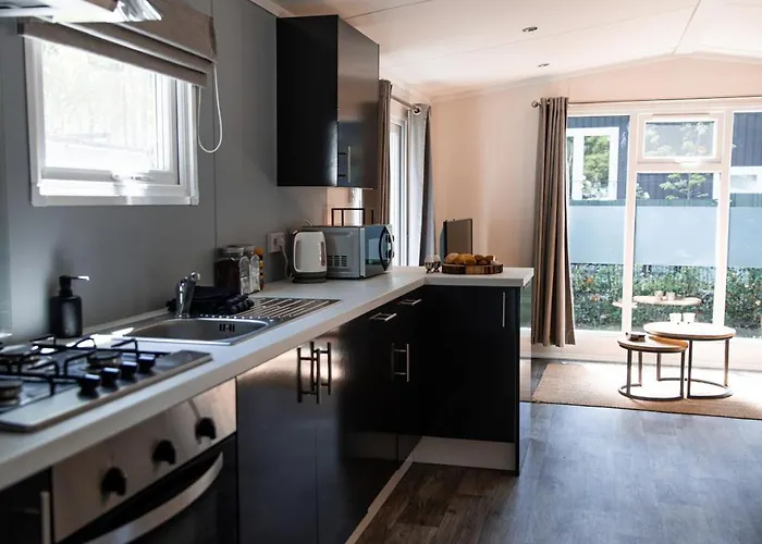 Het Veluwse Boshuisje Hond Welkom In Hoenderloo