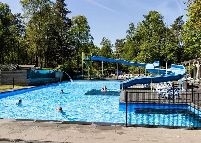 Het Veluwse Boshuisje Hond Welkom In * Hoenderloo