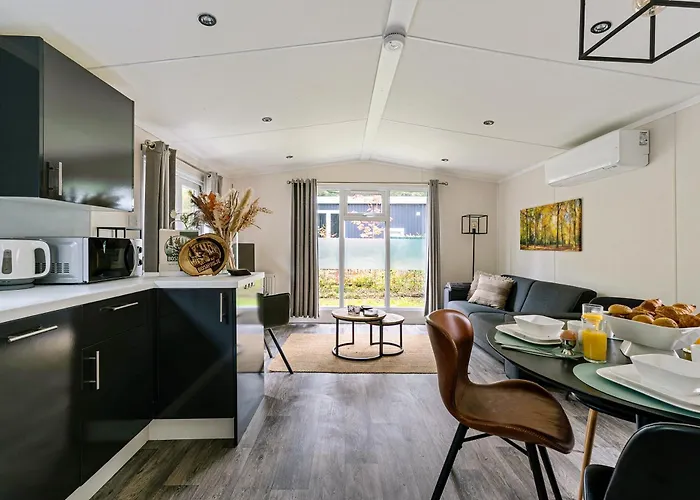 Chalet Het Veluwse Boshuisje Hond Welkom In *