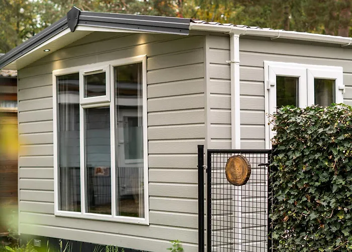 Chalet Het Veluwse Boshuisje Hond Welkom In *