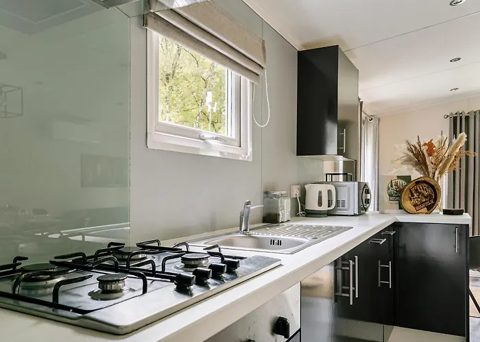 Het Veluwse Boshuisje Hond Welkom In Hoenderloo