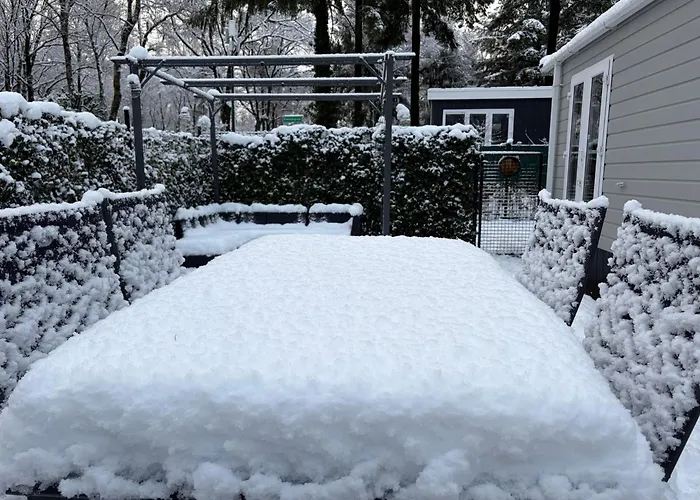 Het Veluwse Boshuisje Hond Welkom In
