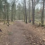 Chalet Het Veluwse Boshuisje Hond Welkom In *