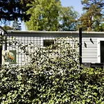 Chalet Het Veluwse Boshuisje Hond Welkom In *