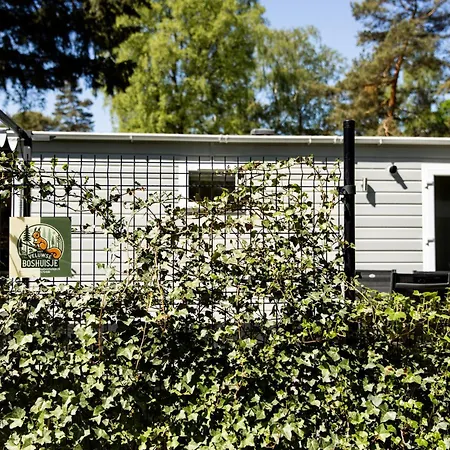 木屋 Het Veluwse Boshuisje Hond Welkom In *