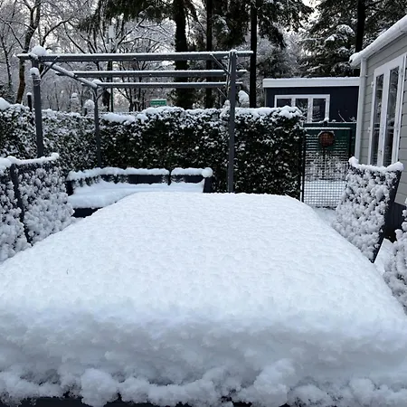 Het Veluwse Boshuisje Hond Welkom In