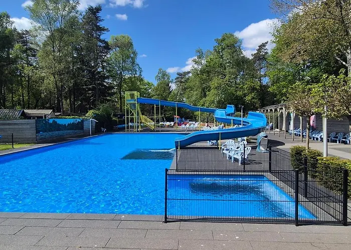 Het Veluwse Boshuisje Hond Welkom In Hoenderloo