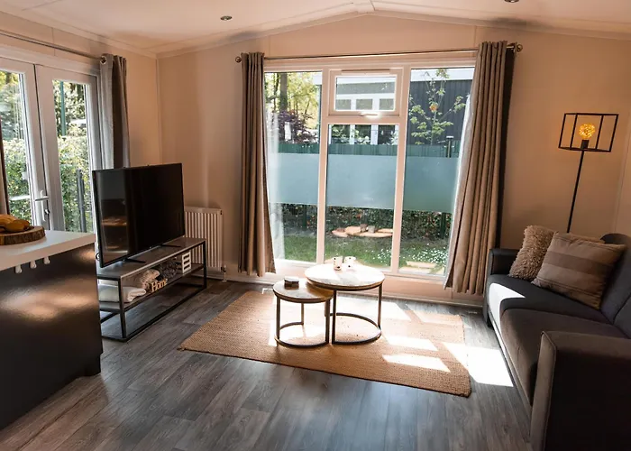 Het Veluwse Boshuisje Hond Welkom In Hoenderloo