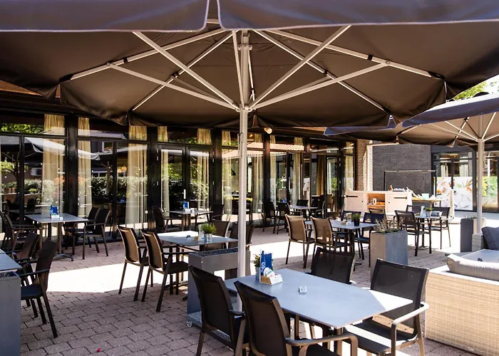 Het Veluwse Boshuisje Hond Welkom In Dağ evi