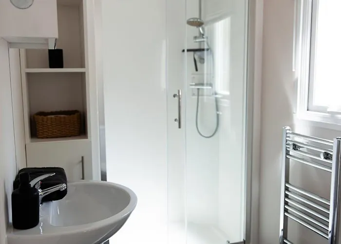 Het Veluwse Boshuisje Hond Welkom In *