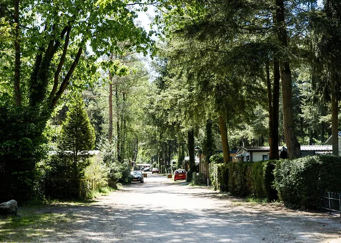 Het Veluwse Boshuisje Hond Welkom In Dağ evi Hoenderloo