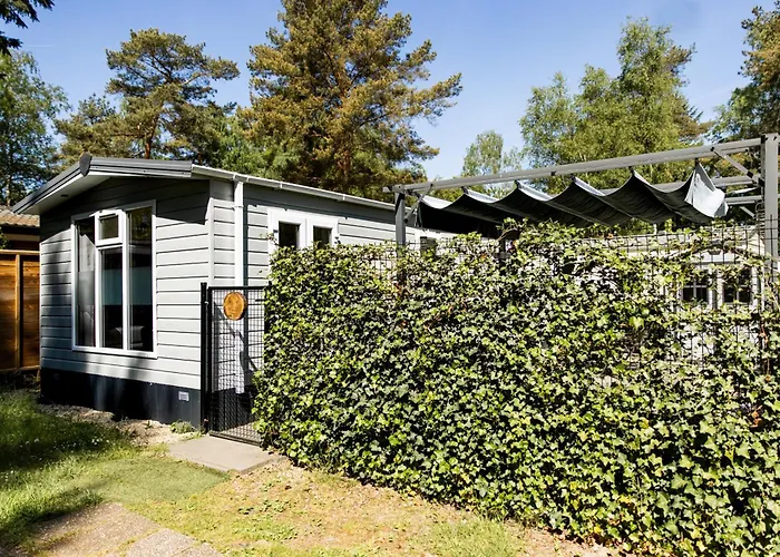 Dağ evi Het Veluwse Boshuisje Hond Welkom In Hoenderloo