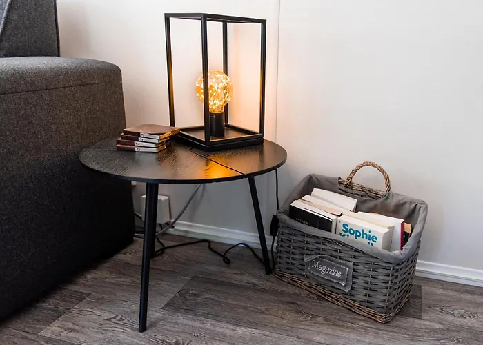 Het Veluwse Boshuisje Hond Welkom In * Hoenderloo