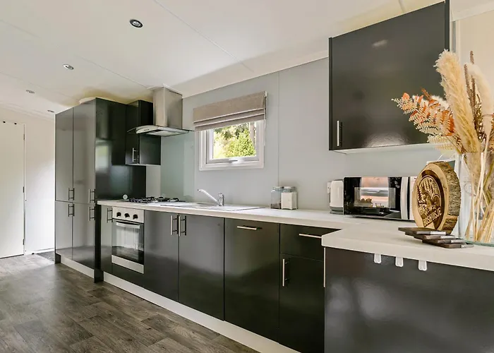 Het Veluwse Boshuisje Hond Welkom In * Hoenderloo