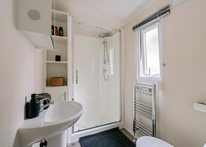 Het Veluwse Boshuisje Hond Welkom In Dağ evi