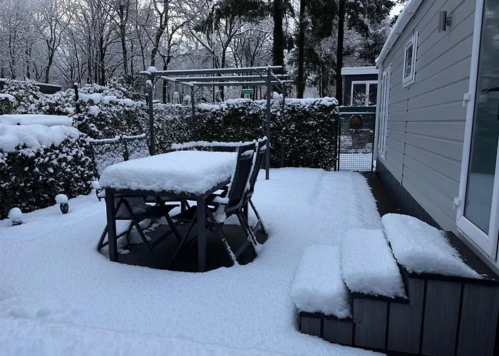 Dağ evi Het Veluwse Boshuisje Hond Welkom In Hoenderloo